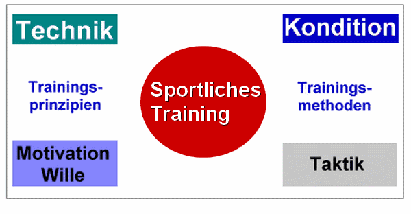 Grundbegriffe des Trainings