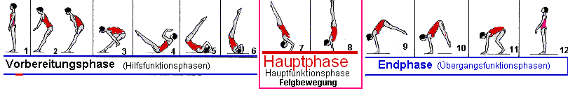 weitere Informationen zur Strukturierung nach Funktionsphasen