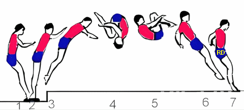 Bildreihe am Computer sortieren